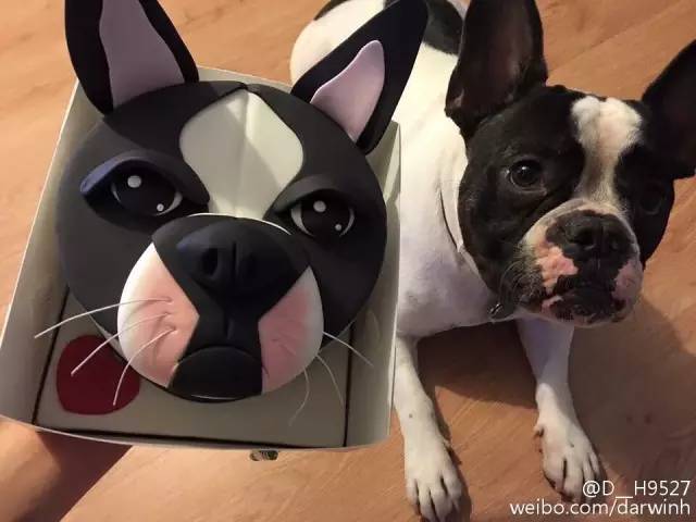 激萌祛痘了怎么恢复,激萌正确使用法