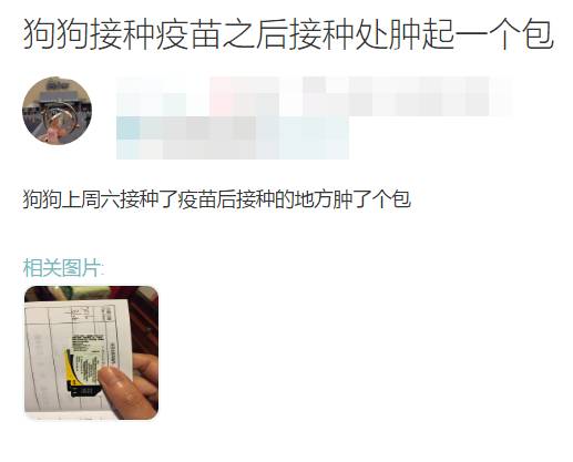 宠物疫苗打了有鼓包,宠物医院打完疫苗皮肤秃了