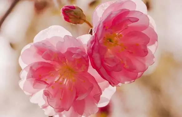 吃完这100种美食、看过这100种风景，可能再也离不开太仓！