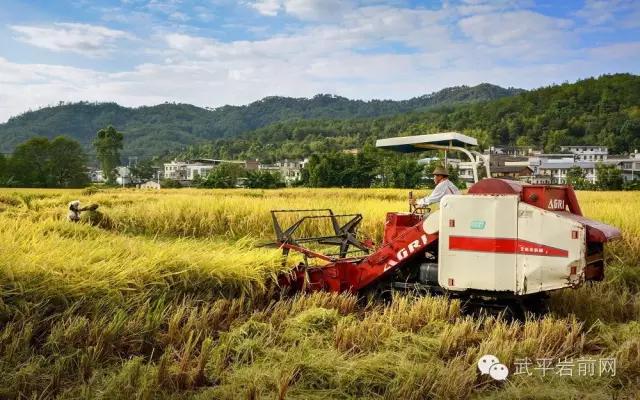 武平岩前有哪些景区,武平岩前有什么好玩的