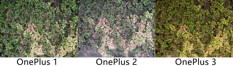 旗舰杀手手机,旗舰杀手红米