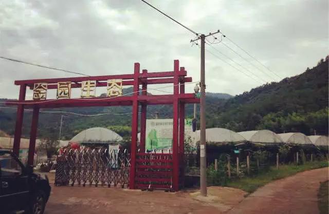 暑假去哪儿到白坭采摘夏日味道,暑假去哪玩新疆