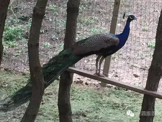 嵊泗基湖沙滩,嵊泗列岛的基湖沙滩