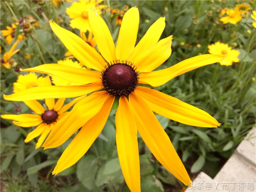 能否真的成为“旗舰杀手”？乐视2全面体验评测！