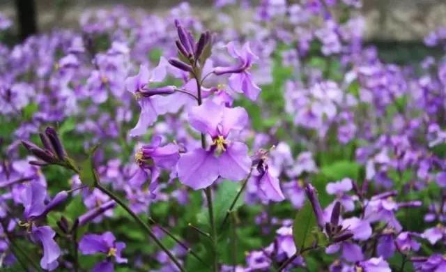 吃完这100种美食、看过这100种风景，可能再也离不开太仓！