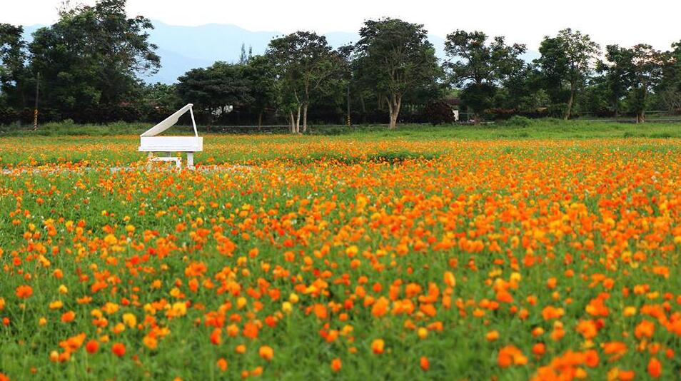 台湾休闲农业农庄,农庄老板谈园林