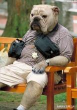 面对社会上的恶人我们应该怎样,面对畜生一样的人怎么办