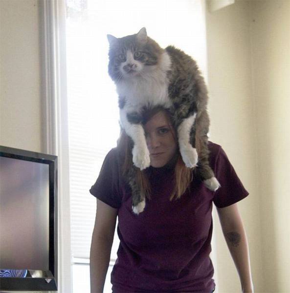 [囧图]大家都是装的，只有我是真正的咸鱼