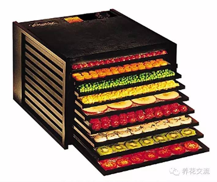 干花制作后怎么用,玫瑰干花怎么做成手工永久保存