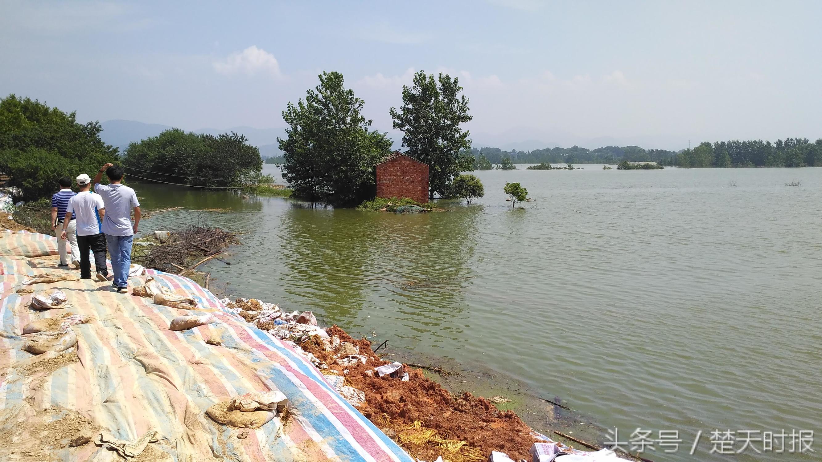 闃叉睕褰诲濂嬫垬,闃叉睕鏄煎濂嬫垬鐤叉儷涓嶅牚
