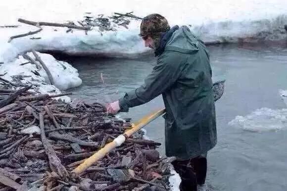 蜜蜡这种东西你真的懂吗,真正的蜜蜡是啥样的