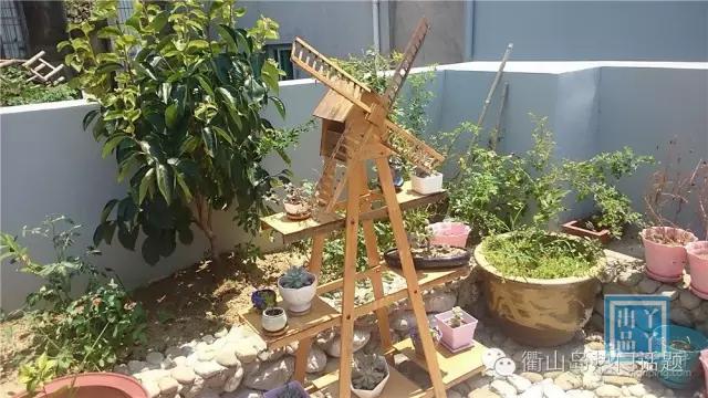 世界那么大我只想去衢山岛看看！