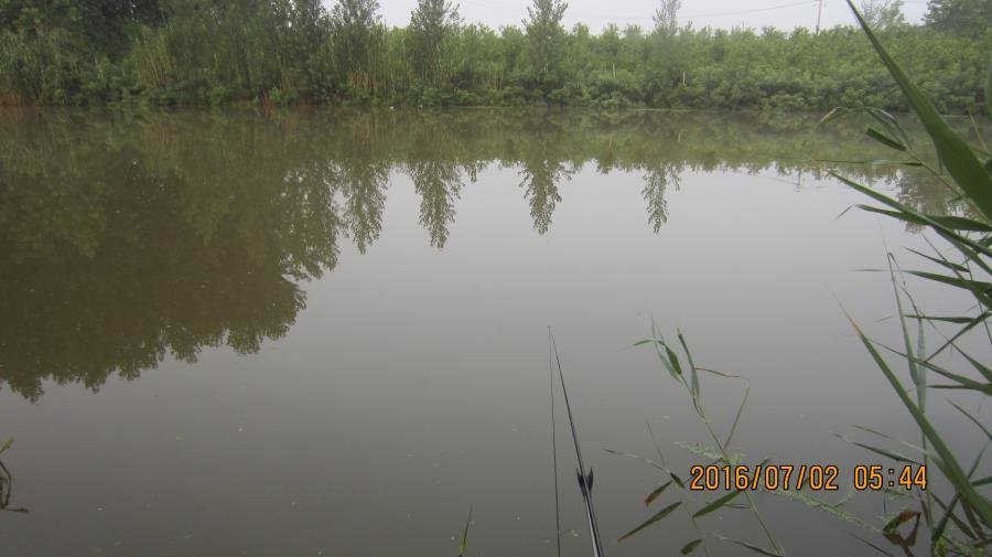 野河垂钓遇见桥洞,野河钓鱼惊喜