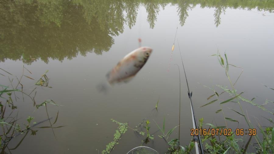 野河垂钓遇见桥洞,野河钓鱼惊喜