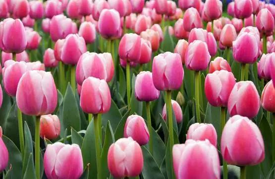 吃完这100种美食、看过这100种风景，可能再也离不开太仓！