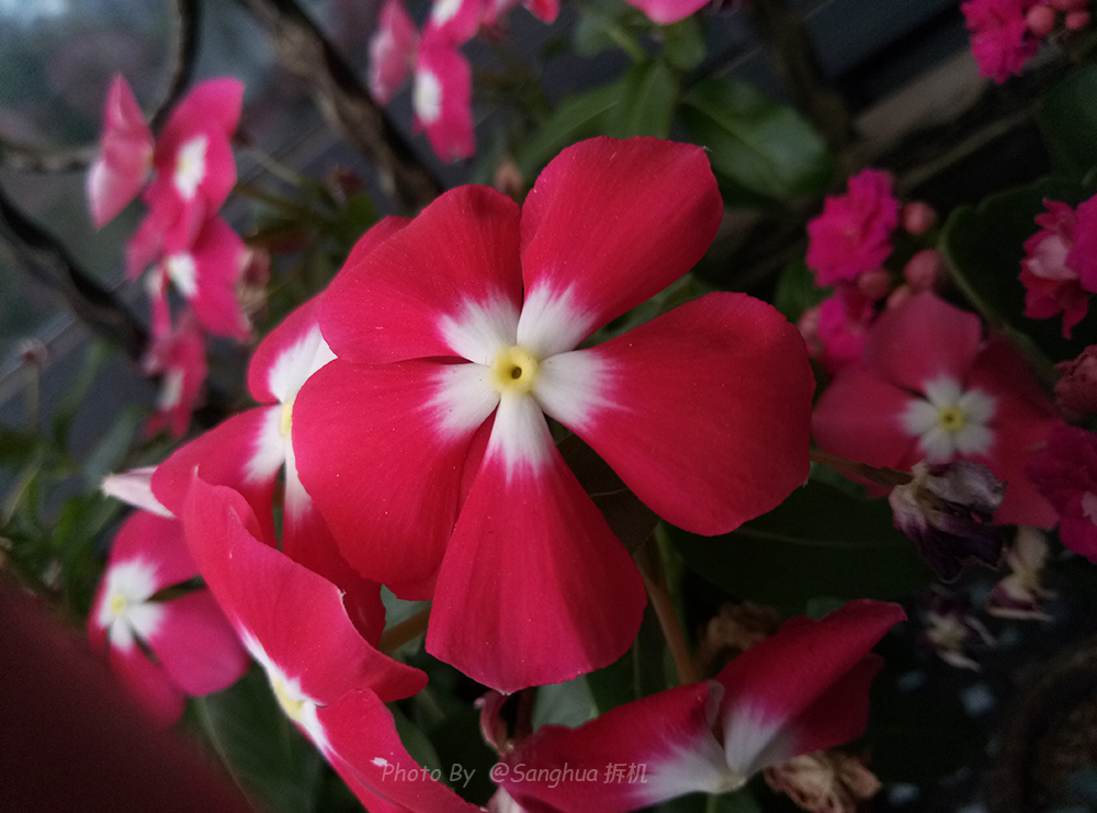 做工不减当年699元的魅蓝3S拆机