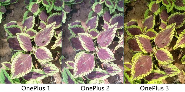 旗舰杀手手机,旗舰杀手红米