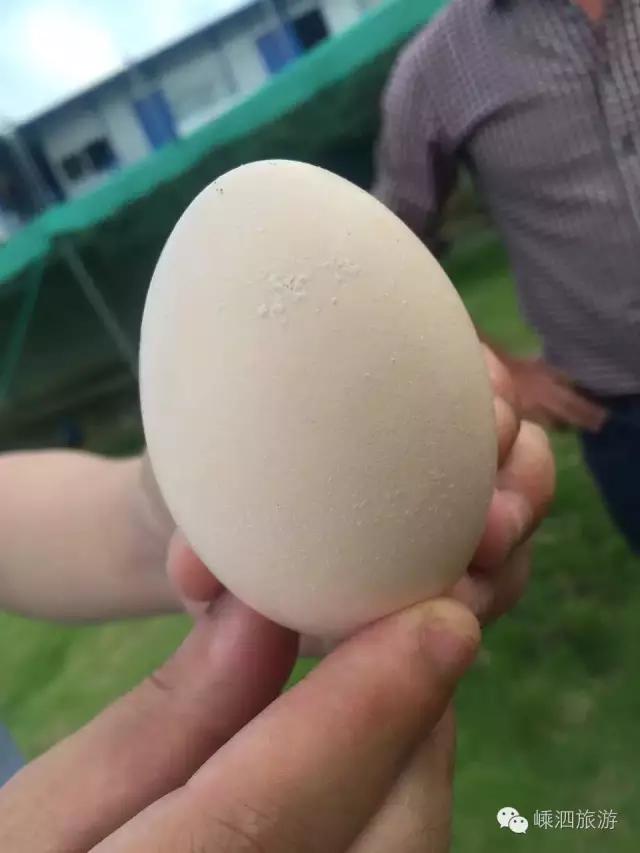 嵊泗基湖沙滩,嵊泗列岛的基湖沙滩