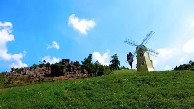 九个理由电影完整版,九个理由