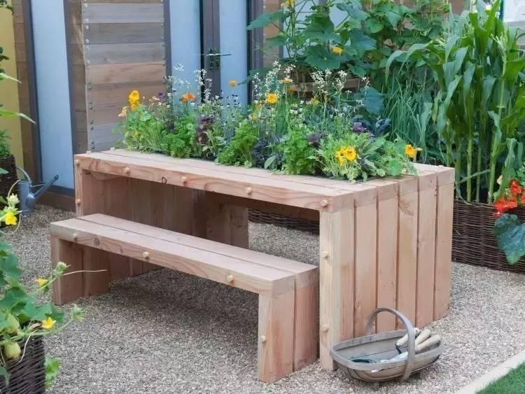 各种花盆搭配什么绿植,适合搭配装饰花盆的小植物