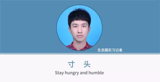 2019斯坦科维奇杯,小世界杯的没落