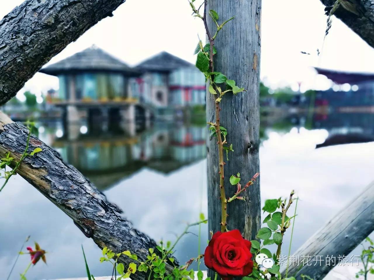 丽江飞越峡谷,丽江飞越