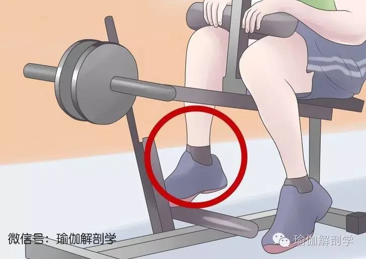 不能下地的怎么锻炼小腿,你的小腿怎么练