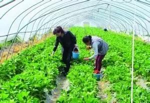 吃完这100种美食、看过这100种风景，可能再也离不开太仓！