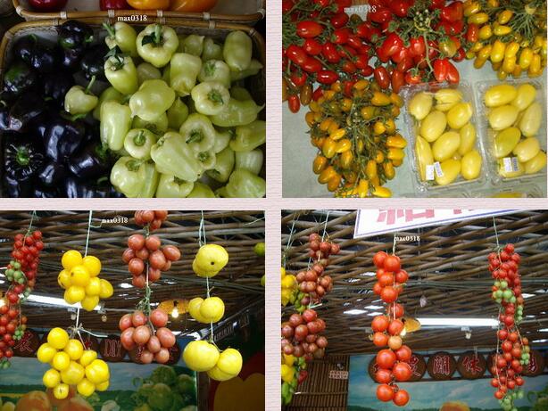 台湾休闲农业农庄,农庄老板谈园林