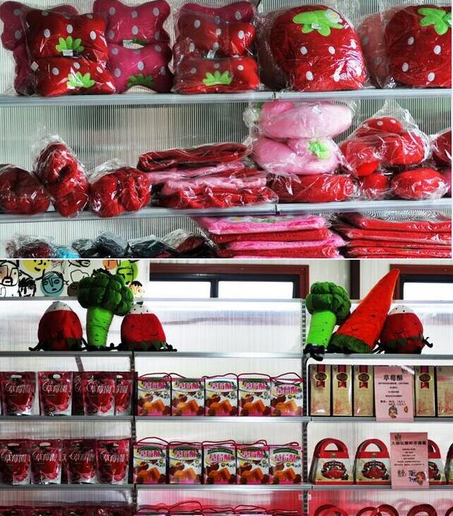 台湾休闲农业农庄,农庄老板谈园林