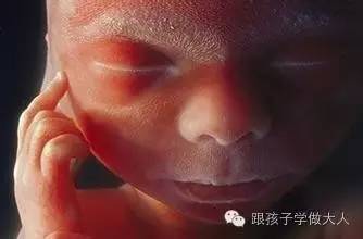 孕期白带查出革兰阴性杆菌,孕期白带检测有红细胞