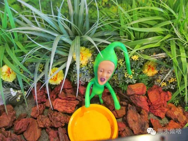 传说中的“丑萌界”鼻祖屁桃君，它终于来魔都啦！