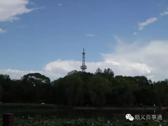 北京市顺义公园,从小就爱上你