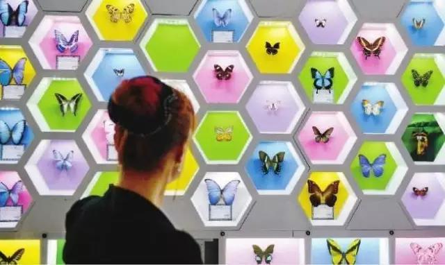 太原投资2000万风情文化节！引来50万只萤火虫！20万只蝴