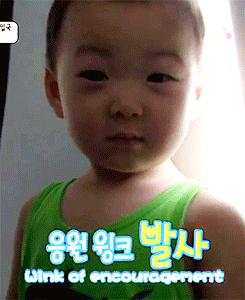 wo中了一种叫作“宋民国”的毒