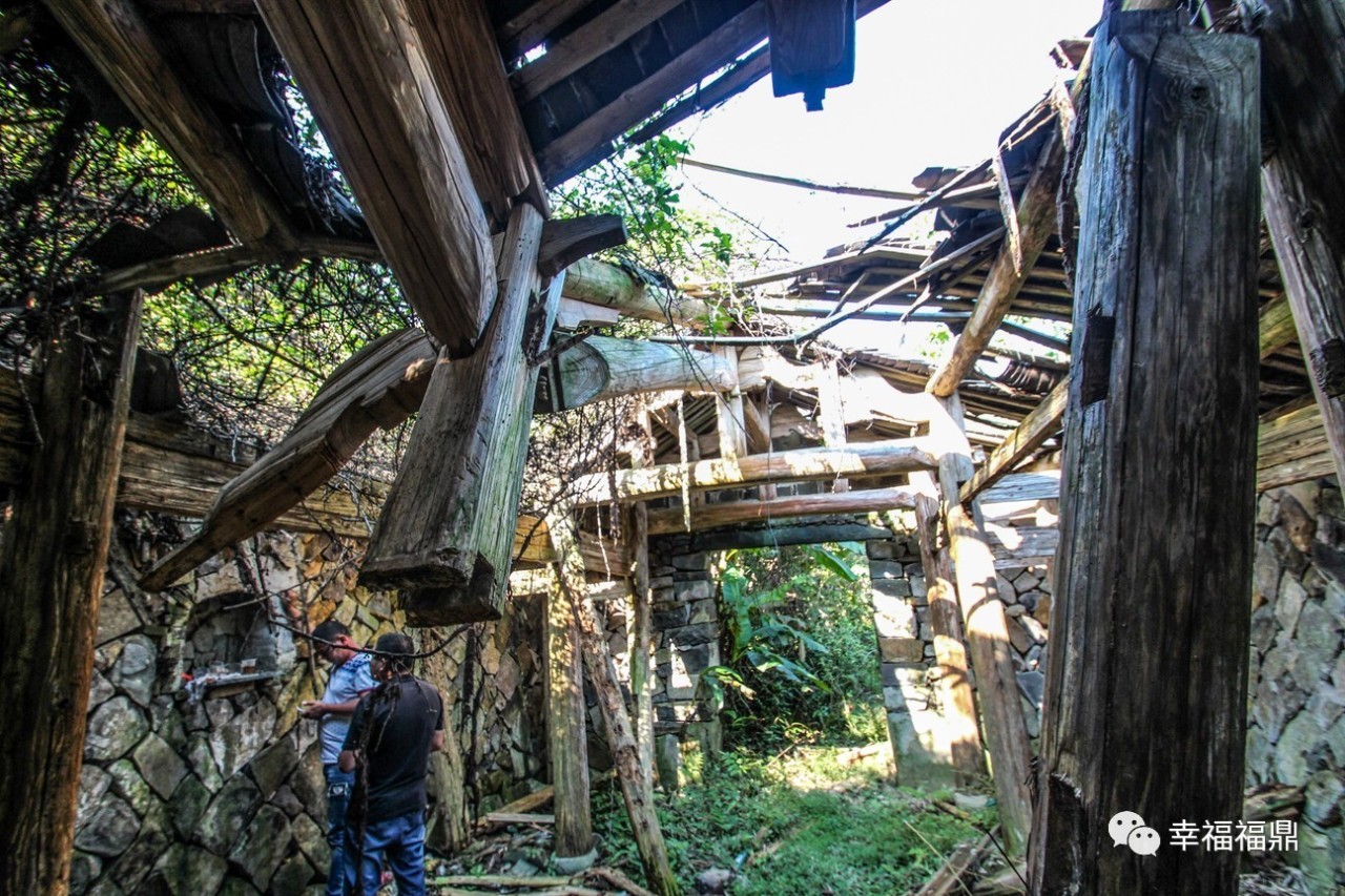 秘境杨梅,安吉杨梅溪