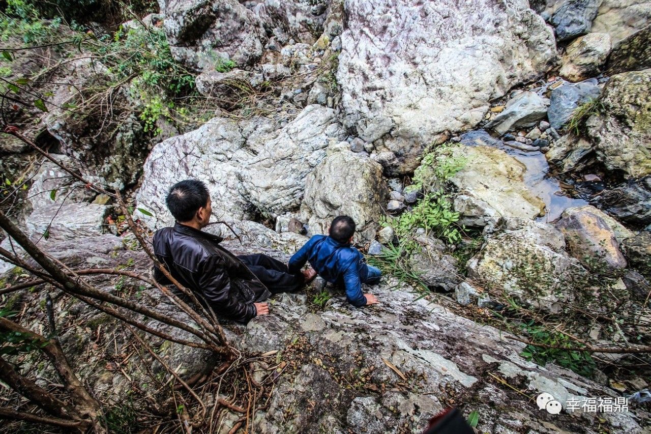 秘境杨梅,安吉杨梅溪