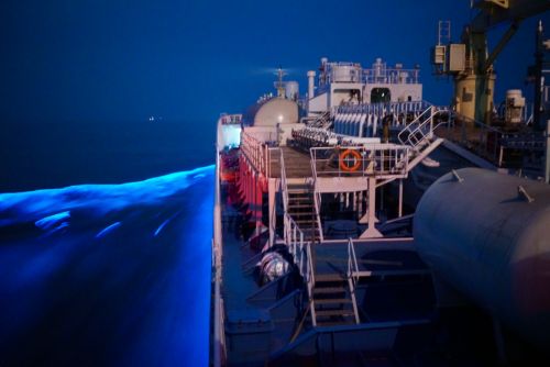 中航国际远洋3号仓,中航国际远洋总仓