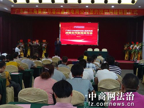 红三角集团股份有限公司简介,红三角集团