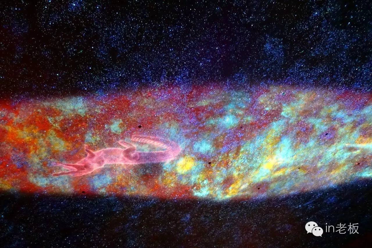 disneyland香港迪士尼奇妙家之旅,disneyland上海迪士尼乐园