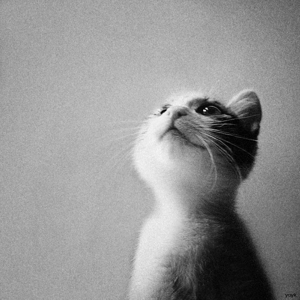 珀莱雅海洋安瓶,珀莱雅全新海洋安瓶