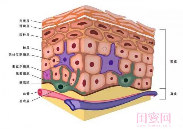 珀莱雅海洋安瓶,珀莱雅全新海洋安瓶