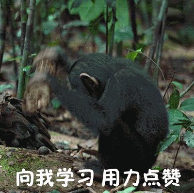 冬虫夏草缘何如此珍贵,冬虫夏草值得捡吗