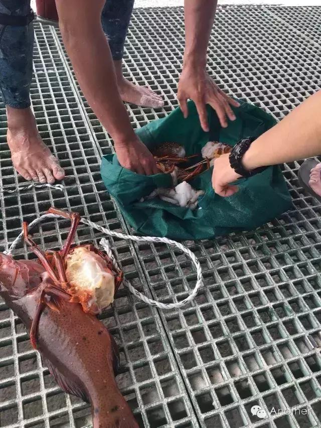 在澳洲租房车,租房车在澳洲