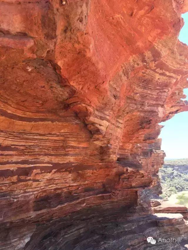 在澳洲租房车,租房车在澳洲