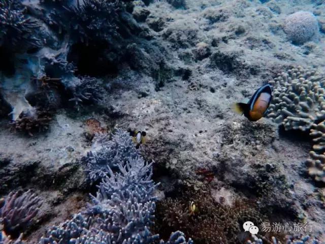 你是打算继续宅在空调房里，还是打2小时飞的去冲绳凉感一夏？