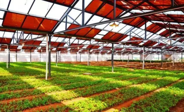 从白手起家到亿万富婆小说,从白手起家到挣一百万