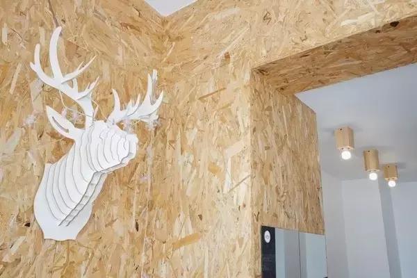 短租一个月房东需要注意什么,短租公寓流程及注意事项