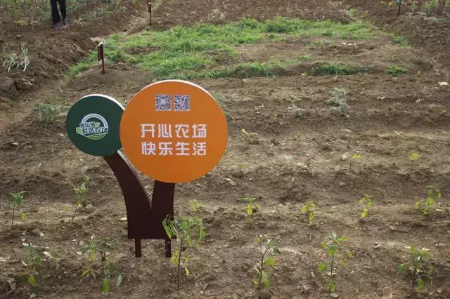 为什么淮南人喜欢当“地主”，看看地主如何管理地的！