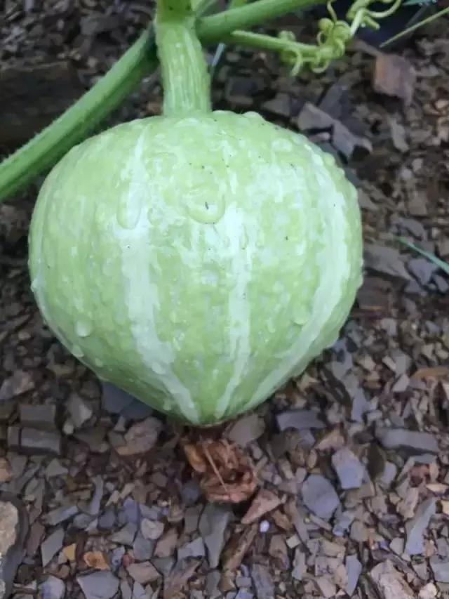 为什么淮南人喜欢当“地主”，看看地主如何管理地的！